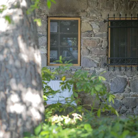 Karianda * Golturkbuku