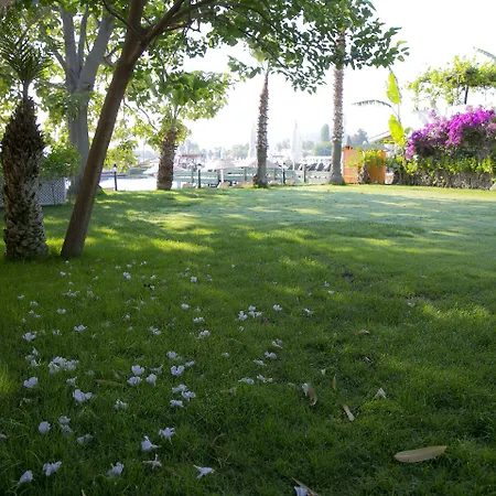 Karianda * Golturkbuku