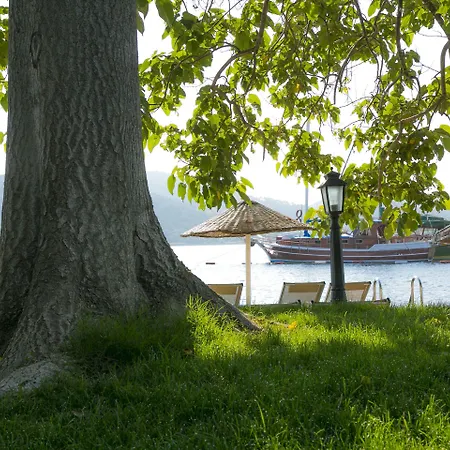 Karianda Szálloda Golturkbuku