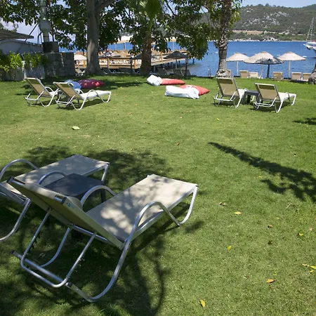 Karianda * Golturkbuku