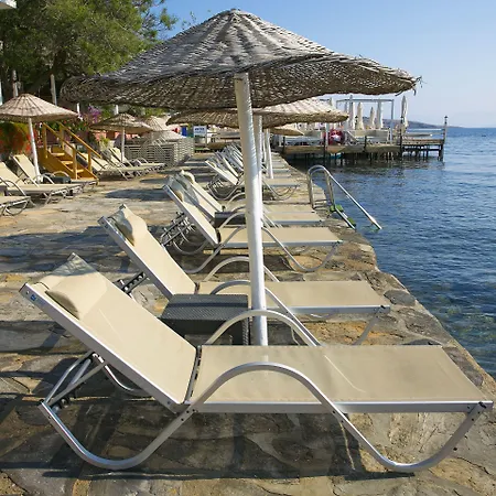 Karianda Hotel Golturkbuku