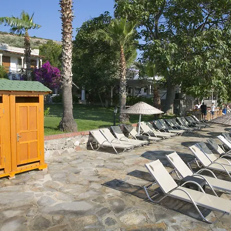 Karianda * Golturkbuku