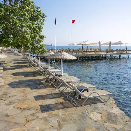 Karianda * Golturkbuku