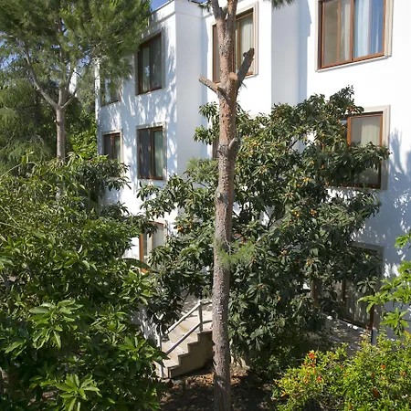 Karianda * Golturkbuku