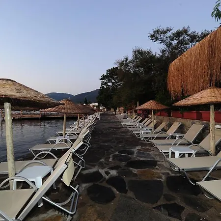 Karianda * Golturkbuku