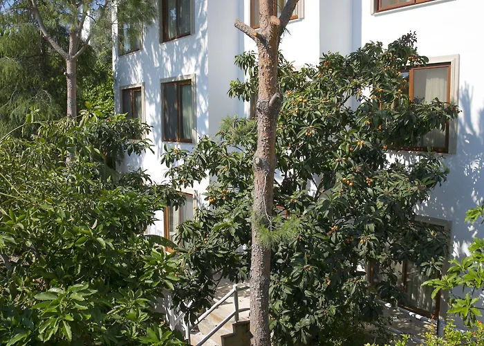 Karianda * Göltürkbükü