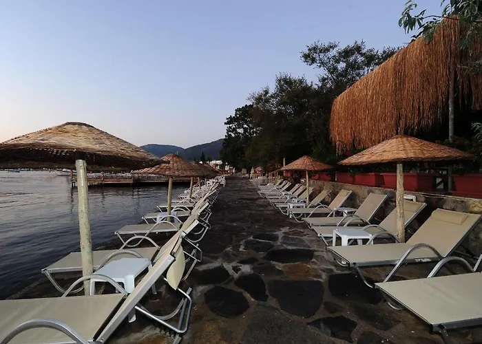 Karianda * Göltürkbükü