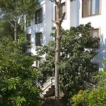 Karianda * Golturkbuku
