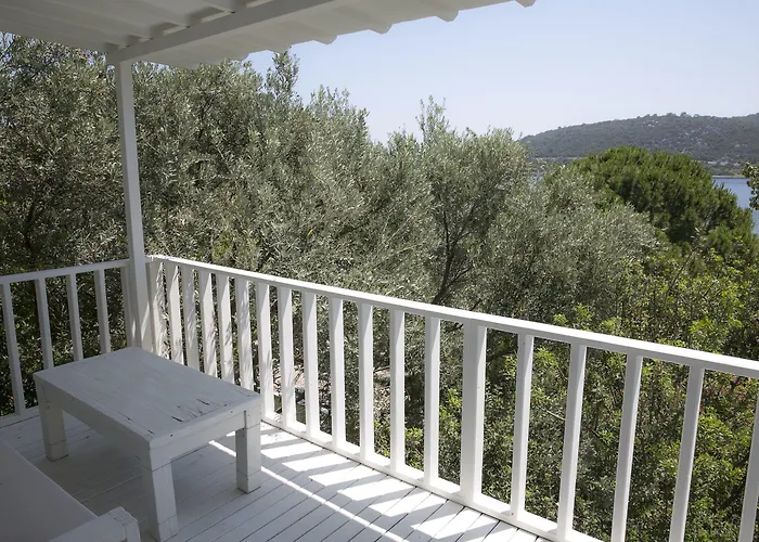 Hotel Karianda Golturkbuku