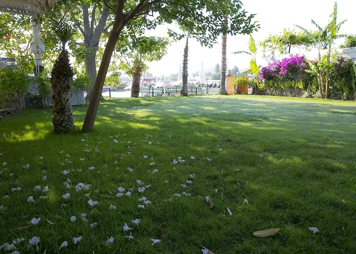 Karianda * Golturkbuku