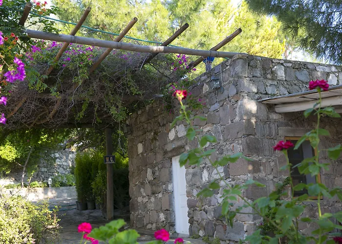 Karianda Golturkbuku